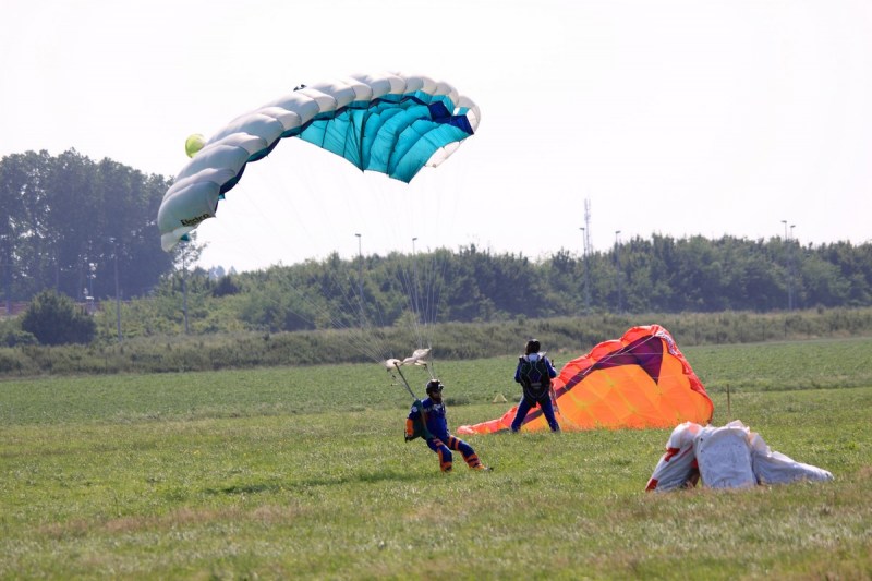 Festival de l'air 2013 - FDubois