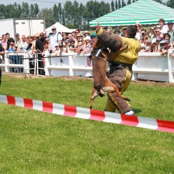 Festival de l'air 2013 - FDubois